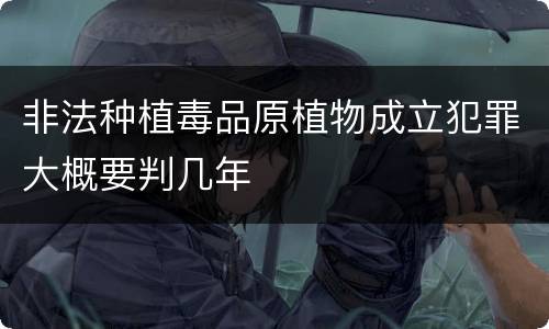 非法种植毒品原植物成立犯罪大概要判几年