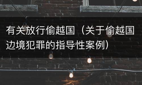 有关放行偷越国（关于偷越国边境犯罪的指导性案例）