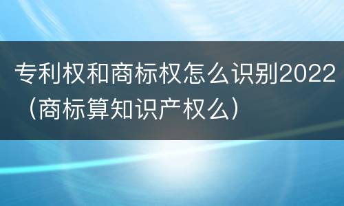 专利权和商标权怎么识别2022（商标算知识产权么）