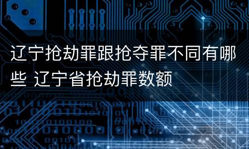 辽宁抢劫罪跟抢夺罪不同有哪些 辽宁省抢劫罪数额