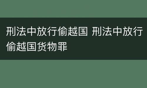 刑法中放行偷越国 刑法中放行偷越国货物罪