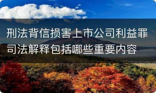 刑法背信损害上市公司利益罪司法解释包括哪些重要内容