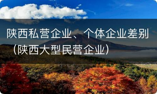 陕西私营企业、个体企业差别（陕西大型民营企业）