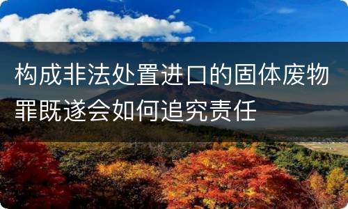 构成非法处置进口的固体废物罪既遂会如何追究责任