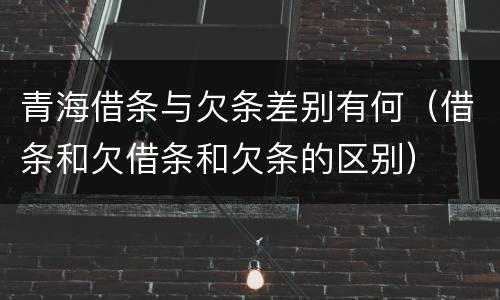 青海借条与欠条差别有何（借条和欠借条和欠条的区别）