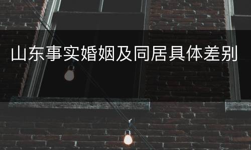 山东事实婚姻及同居具体差别