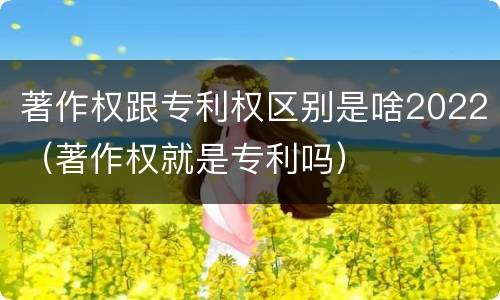著作权跟专利权区别是啥2022（著作权就是专利吗）