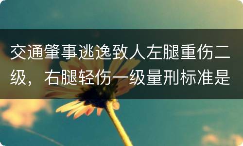 交通肇事逃逸致人左腿重伤二级，右腿轻伤一级量刑标准是什么