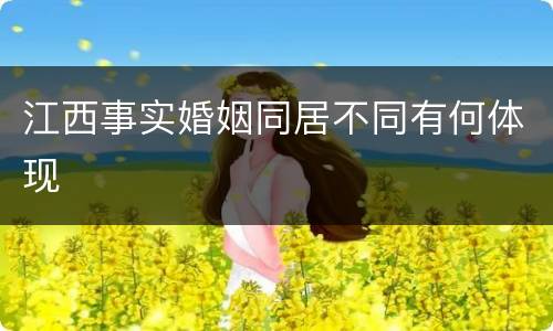 江西事实婚姻同居不同有何体现