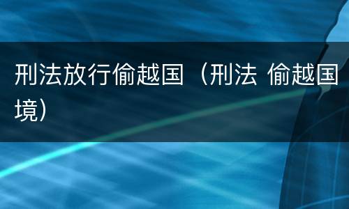 刑法放行偷越国（刑法 偷越国境）