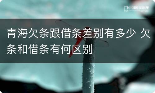 青海欠条跟借条差别有多少 欠条和借条有何区别