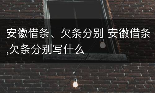 安徽借条、欠条分别 安徽借条,欠条分别写什么