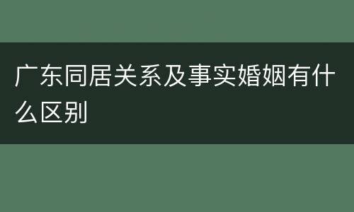 广东同居关系及事实婚姻有什么区别