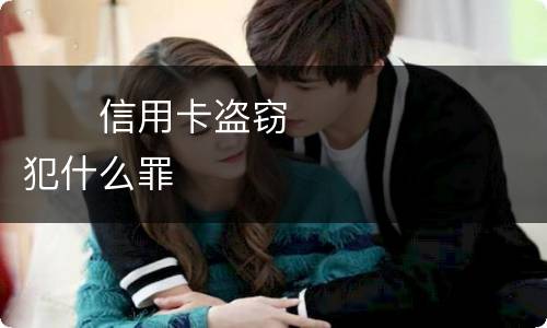　　信用卡盗窃犯什么罪