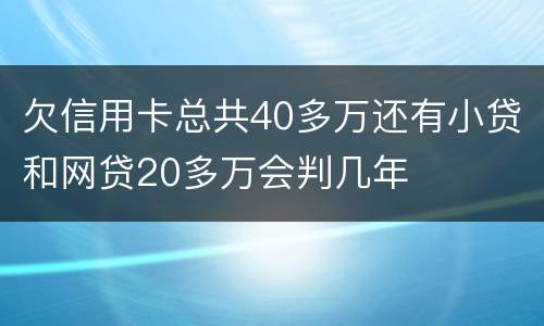 欠信用卡总共40多万还有小贷和网贷20多万会判几年