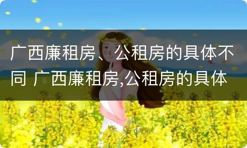 广西廉租房、公租房的具体不同 广西廉租房,公租房的具体不同地址