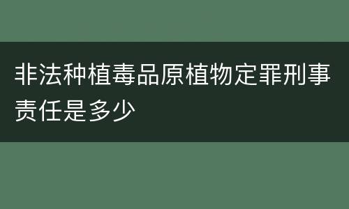 非法种植毒品原植物定罪刑事责任是多少