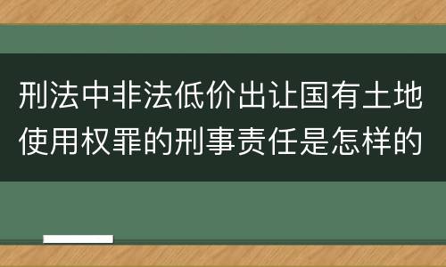 刑法中非法低价出让国有土地使用权罪的刑事责任是怎样的