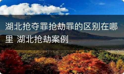 湖北抢夺罪抢劫罪的区别在哪里 湖北抢劫案例