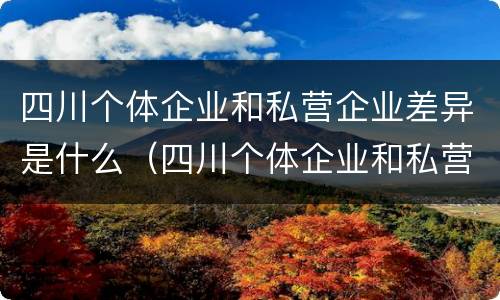 四川个体企业和私营企业差异是什么（四川个体企业和私营企业差异是什么样的）