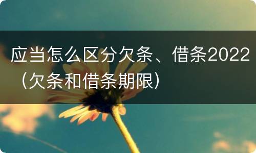 应当怎么区分欠条、借条2022（欠条和借条期限）