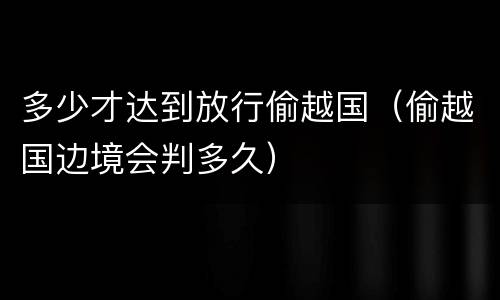 多少才达到放行偷越国（偷越国边境会判多久）
