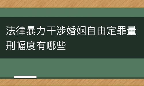 法律暴力干涉婚姻自由定罪量刑幅度有哪些