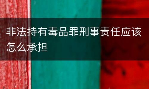 非法持有毒品罪刑事责任应该怎么承担