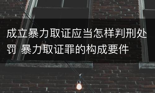 成立暴力取证应当怎样判刑处罚 暴力取证罪的构成要件