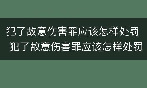 犯了故意伤害罪应该怎样处罚 犯了故意伤害罪应该怎样处罚对方