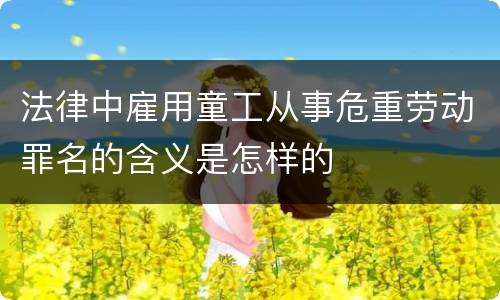法律中雇用童工从事危重劳动罪名的含义是怎样的
