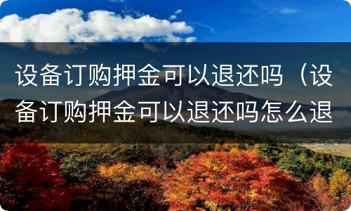 设备订购押金可以退还吗（设备订购押金可以退还吗怎么退）