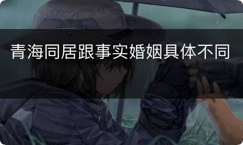青海同居跟事实婚姻具体不同