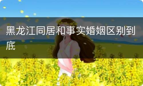 黑龙江同居和事实婚姻区别到底