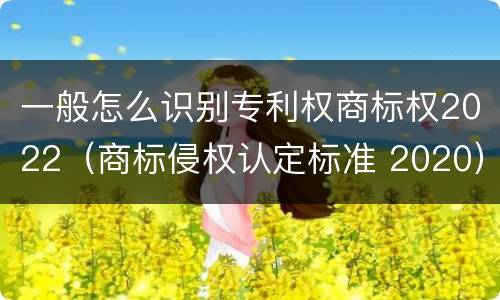 一般怎么识别专利权商标权2022（商标侵权认定标准 2020）