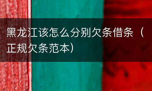 黑龙江该怎么分别欠条借条（正规欠条范本）