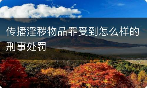 传播淫秽物品罪受到怎么样的刑事处罚
