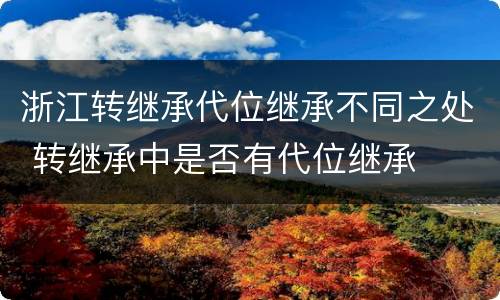 浙江转继承代位继承不同之处 转继承中是否有代位继承