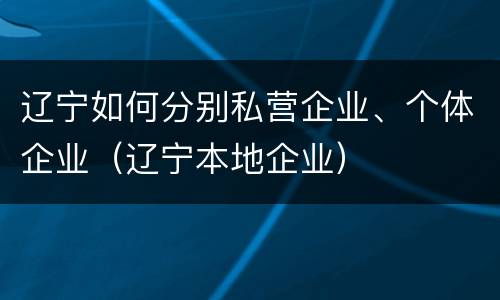 辽宁如何分别私营企业、个体企业（辽宁本地企业）