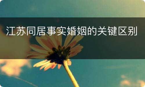 江苏同居事实婚姻的关键区别