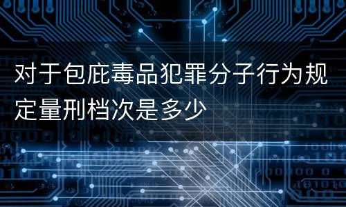 对于包庇毒品犯罪分子行为规定量刑档次是多少