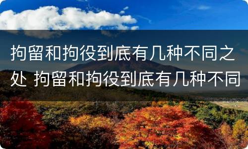 拘留和拘役到底有几种不同之处 拘留和拘役到底有几种不同之处呢