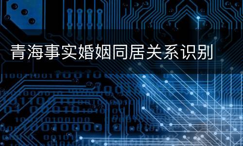 青海事实婚姻同居关系识别