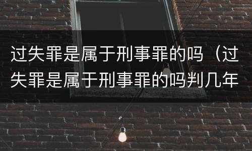 过失罪是属于刑事罪的吗（过失罪是属于刑事罪的吗判几年）