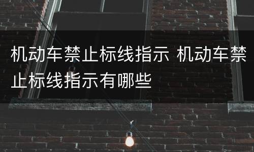 机动车禁止标线指示 机动车禁止标线指示有哪些