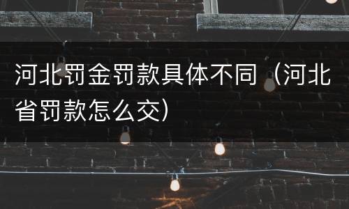 河北罚金罚款具体不同（河北省罚款怎么交）