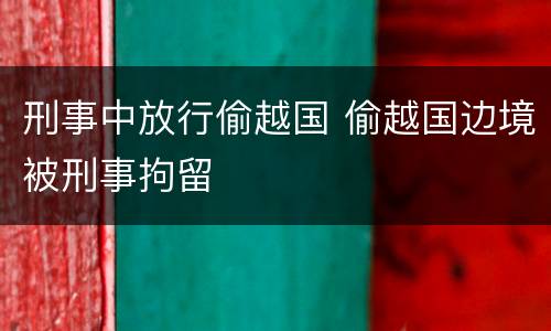 刑事中放行偷越国 偷越国边境被刑事拘留