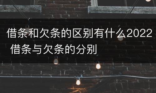 借条和欠条的区别有什么2022 借条与欠条的分别