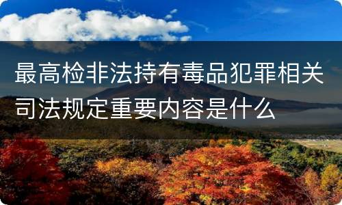 最高检非法持有毒品犯罪相关司法规定重要内容是什么