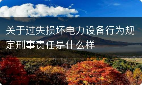 关于过失损坏电力设备行为规定刑事责任是什么样